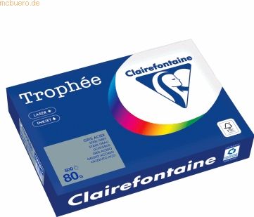 Clairefontaine Trophée gekleurd papier, A4, 80 g, 500 vel, lichtgrijs