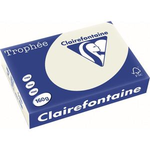 Clairefontaine - Papier A4 - 160g - Parelgrijs - Pak van 250 Vel