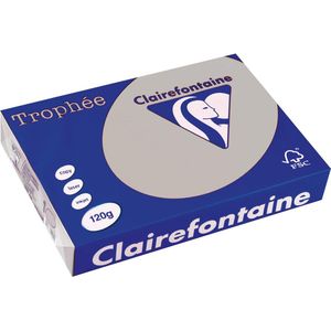 Clairefontaine - Trophée - Gekleurd Papier - Lichtgrijs - 120 g/m² - Pak 250 Vel