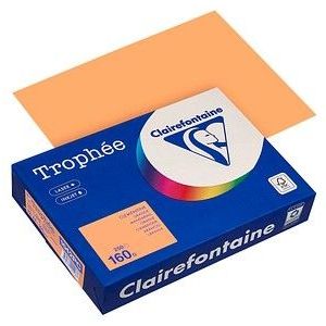 Clairefontaine - Gekleurd Papier - A4 - Oranje - 160 Grams - 250 Vel