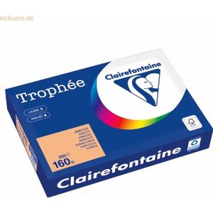 Clairefontaine - Trophée Gekleurd Papier - A4 - 160 g/m² - Abrikoos - Pak 250 vel