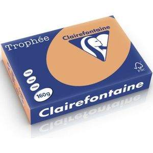 Clairefontaine Gekleurd papier Caramel A4  160 grams (250 vel)