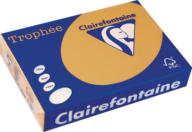 Clairefontaine - A4 - Gekleurd Papier - Mokkabruin - 160 g/m² - 250 Vellen