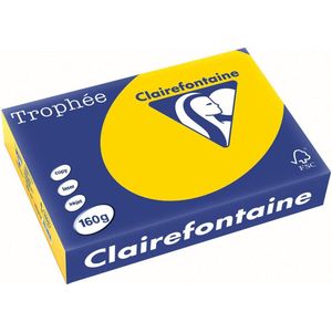 Clairefontaine - Trophée - Gekleurd Papier - Diepgeel - 160 g/m²