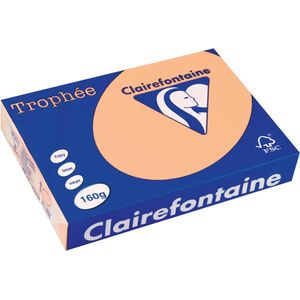 Clairefontaine - Gekleurd Papier - Zalm - 160 g/m² - 250 Vellen
