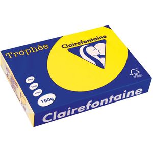 Clairefontaine - Trophée - Gekleurd Papier - A4 160 g/m² - Geel - Transparant