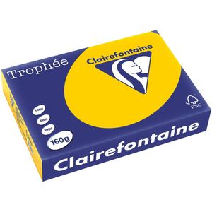 Clairefontaine - A4 - Gekleurd Papier - Zonnebloemgeel - 160 g/m² - 250 Vellen