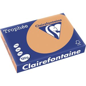 Clairefontaine - Gekleurd Papier - Caramel - A4 - 120 Grams - 250 Vel