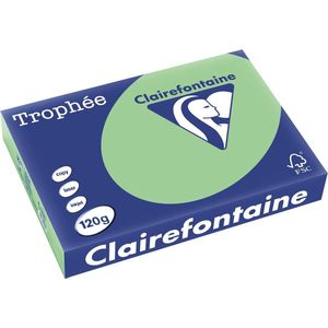 Clairefontaine - Gekleurd Papier - Natuurgroen - 120 g/m² - 250 Vellen