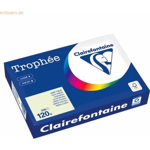 Gekleurd Papier - Lichtgroen - 120 g/m² - 250 Vellen