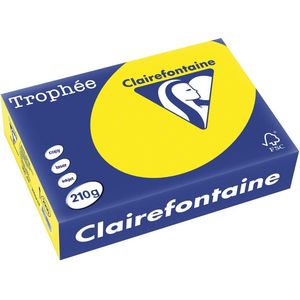 Clairefontaine - Trophée - Gekleurd Papier - Zongeel - 210 g/m² - 250 Vel