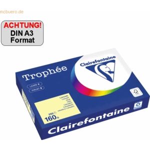 Gekleurd Papier - A3 - Geel - 160g - Geschikt voor Laser en Inkjetprinters