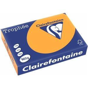 Clairefontaine gekleurd papier oranje 160 grams A4 (250 vel)