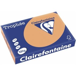 5 x Clairefontaine Kopierpapier Trophee A4 120g/qm VE=250 Blatt camel