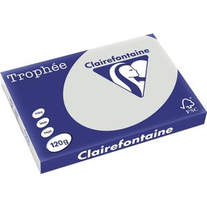 Clairefontaine - Gekleurd Papier - Lichtgrijs - 120 g/m² - 250 Vellen