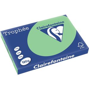 Clairefontaine - Papier A3 - Gekleurd Papier - Natuurgroen - 120g, 250 Vel