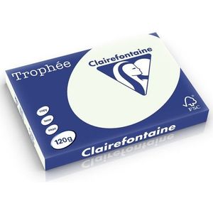 Clairefontaine gekleurd papier lichtgroen 120 g/m² A3 (250 vellen)