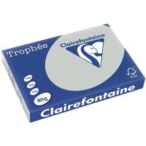 Clairefontaine Trophée Pastel, gekleurd papier, A3, 80 g, 500 vel, lichtgrijs