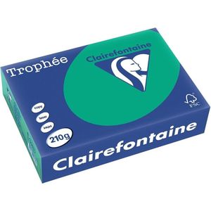 Clairefontaine - Papier A4 - Groen - 210g - Pak van 250 vel