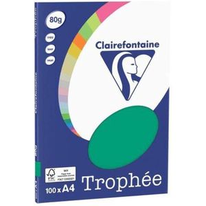 Clairefontaine Tannengrün A4 Farbiges Papier 80 g/m² (100 Blatt)