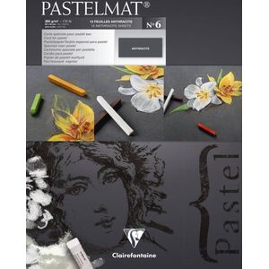 Clairefontaine Pastelmat Nr 6 Antraciet 12 Vel 360 Grams 30 X 40 cm