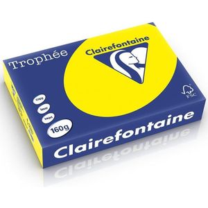 Papier - Zonnegeel - 250 Vel - 160 Grams - FSC-gecertificeerd