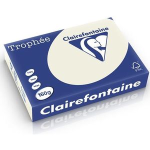Clairefontaine - A4 - Papier - Parelgrijs - 250 Vel - 160 Grams