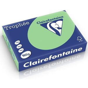 Clairefontaine - Natuurgroen - A4 Papier - 160 gr - 250 vel