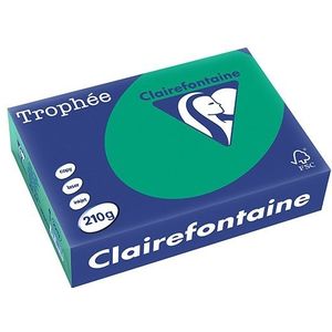 Clairefontaine - A4 - Dennengroen - Papier - 210 gr. - 250 vel