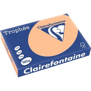 Clairefontaine - Gekleurd Papier - Abrikoos - A4 - 120 gr. - 250 vel