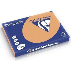 Clairefontaine - Gekleurd Papier - Mokkabruin - A3 - 120 gr - 250 vel