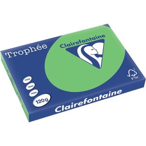 Clairefontaine - Gekleurd Papier - Grasgroen - A3 - 120 gr - 250 vel