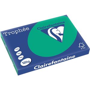 Clairefontaine - Gekleurd Papier - Dennengroen - 120 g/m² - 250 Vellen