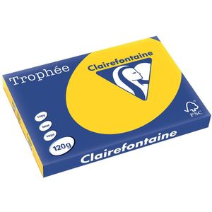 Clairefontaine - Goudgeel - A3 Papier - 120 gr - 250 Vel