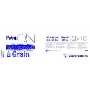 Painton Mixmedia - Met Grain Blok - 250 gr - 10 Blad Per Pak - 50 x 65 cm - Wit | 3329689750523 | Verf