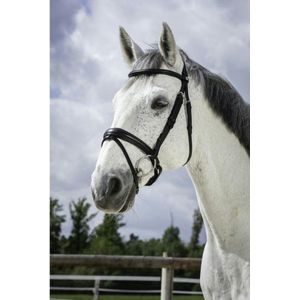 Norton Hoofdstel pro soft Black - Full