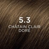 Phyto Color - Haarkleuring - Licht Goudbruin - Zonder Ammoniak - 1 st