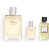 Hermès Hermes Terre Eau Givrée Epv 100 ml Set Bc