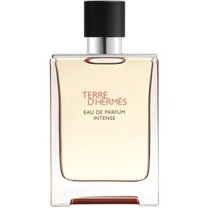 Hermès Terre d'Hermès Eau de Parfum Intense 100ml