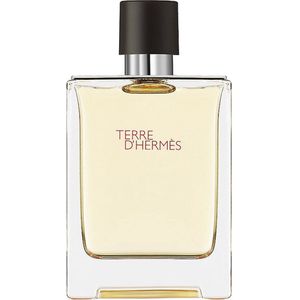 Hermes Terre d'Hermes 100 ml - Eau de Toilette - Herenparfum