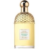 Guerlain Aqua Allegoria Bergamote Calabria Eau de Toilette 75 ml