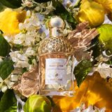 Guerlain Aqua Allegoria Bergamote Calabria 2022 Eau de Toilette 125 ml