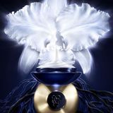 Guerlain - Orchidée Impériale - Dagcrème - 50ml