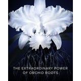 Guerlain - Orchidée Impériale - Gezichtscrème - 50ml - Crème