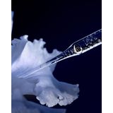 Guerlain - Lotion-Essence - Gezichtslotion - Orchidee - 150ml