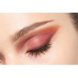 DIOR - Diorshow 5 Couleurs Couture - Oogschaduw Palette - Tint 869 Red Tartan - 7 g