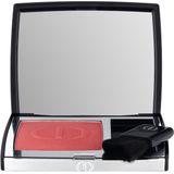 DIOR Rouge Blush 6 g Shimmer 219 Rose Montaigne