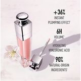 Dior - Addict Maximizer - Lipgloss - Rosewood