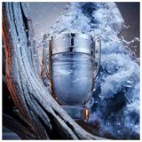 Paco Rabanne Invictus Eau de Toilette - 100 ml