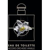 Yves Saint Laurent Opium Femme Eau de Toilette 50 ml